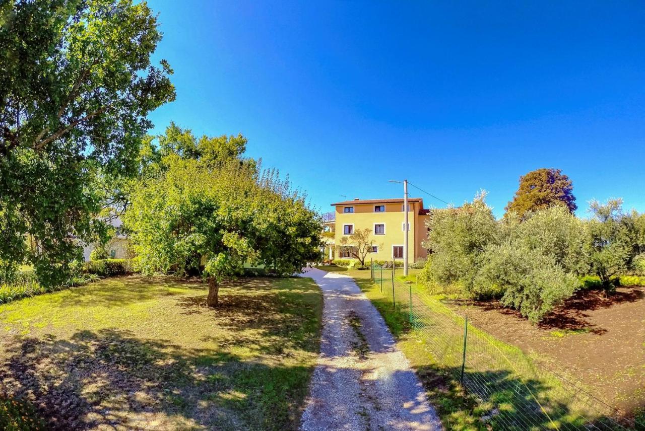 Studio Apartment Gianni Vizinada Luaran gambar